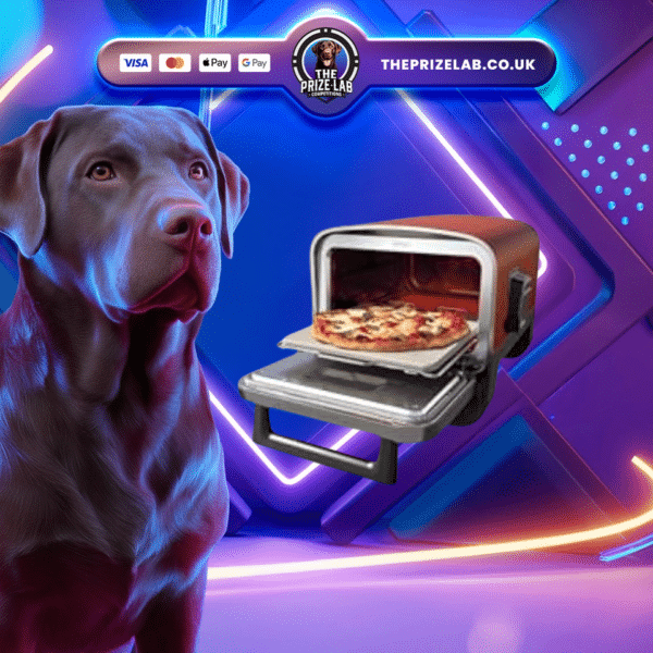 Ninja Woodfire Pizza Oven OR £300