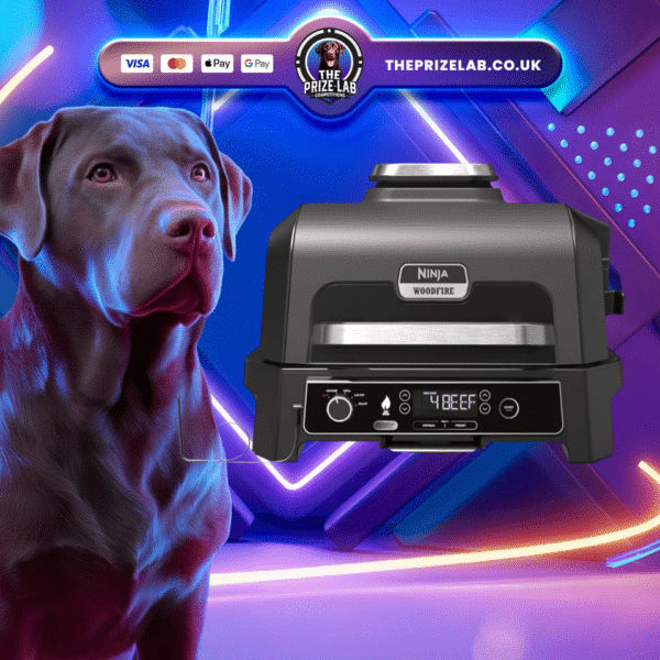 Ninja Woodfire Electric BBQ Grill OR £250