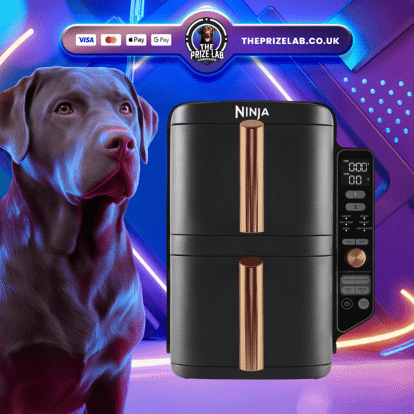 Ninja Double Stack XL Air Fryer