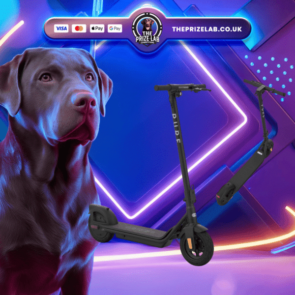 Pure Air Electric Scooter