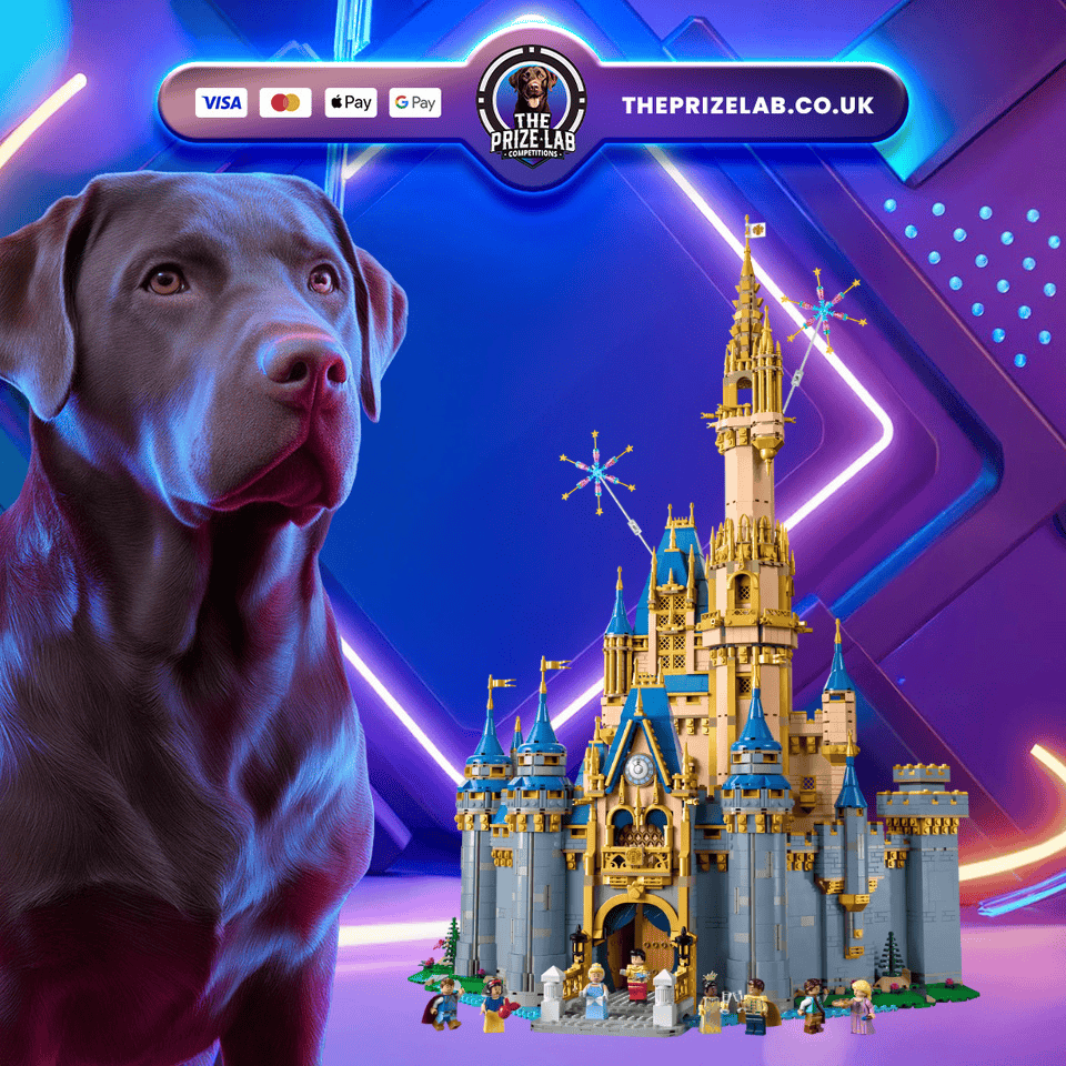 Disney Castle