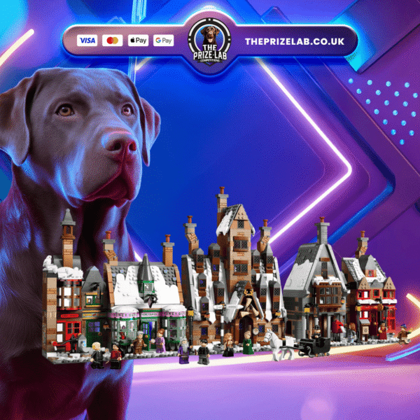Hogsmeade Village – Collectors Edition