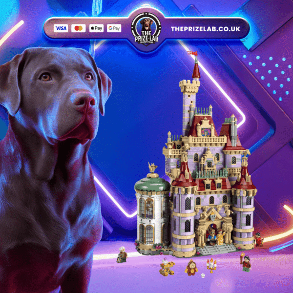 Beauty and the Beast Castle