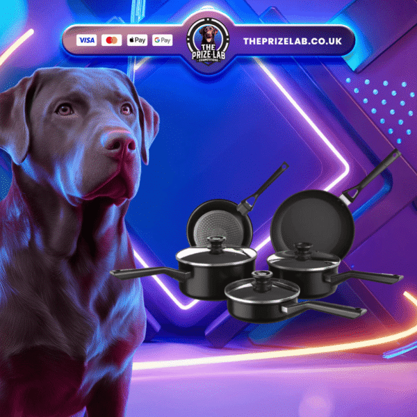 Ninja ZEROSTICK Classic 5-Piece Pan Set